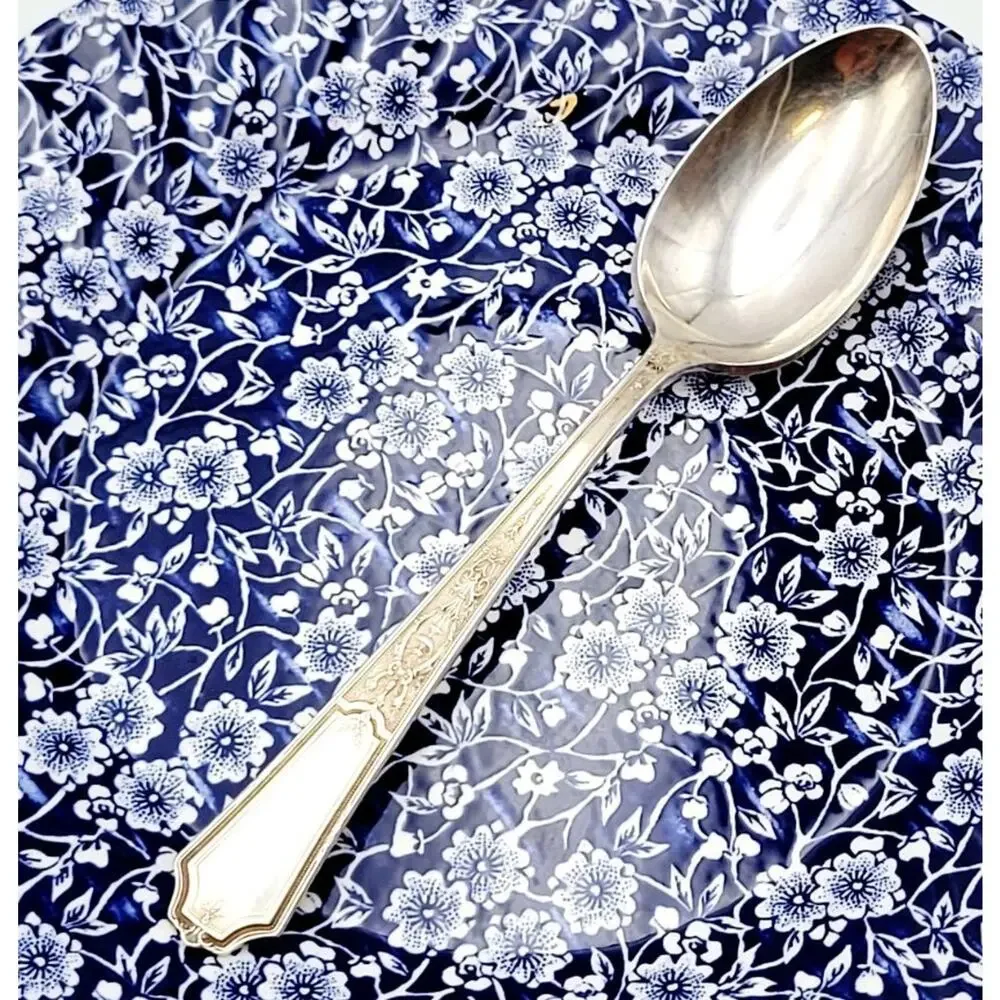 1847 Rogers Bros Ancestral Silverplate Serving Spoon Discontinued